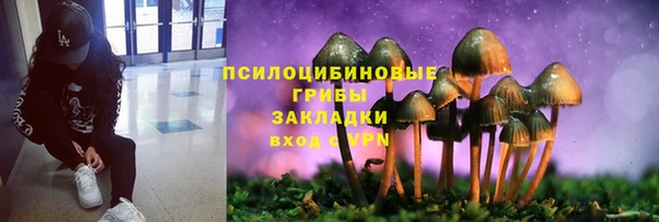 мяу мяу мука Абинск