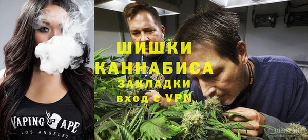 ПСИЛОЦИБИНОВЫЕ ГРИБЫ Алзамай