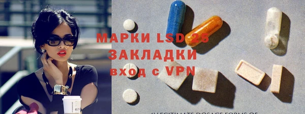 ПСИЛОЦИБИНОВЫЕ ГРИБЫ Алзамай